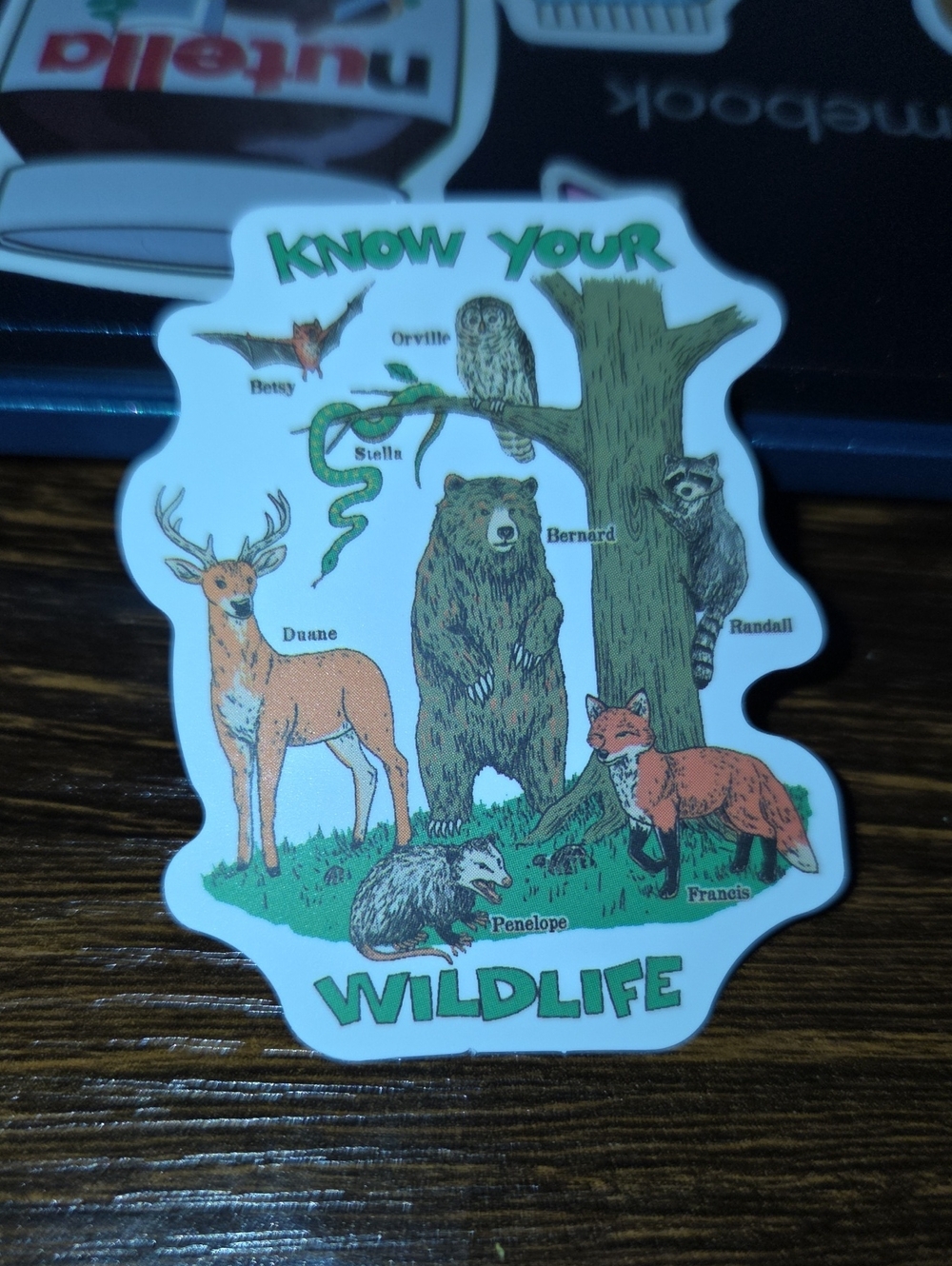 Know Your Wildlife Decorative Wall Sticker - Green, Brown, Orange
